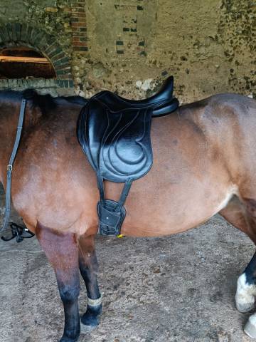 Sella da dressage Antarès  17.5" - 2022