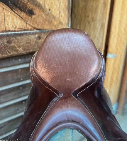 Sella mista Mondange Mixte  17.5" - 2020