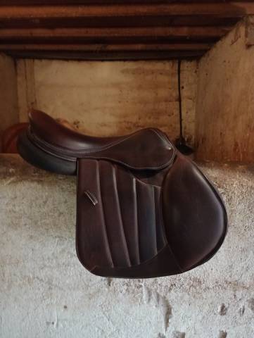 Sella da salto ostacoli Forestier  17.5" - 2024