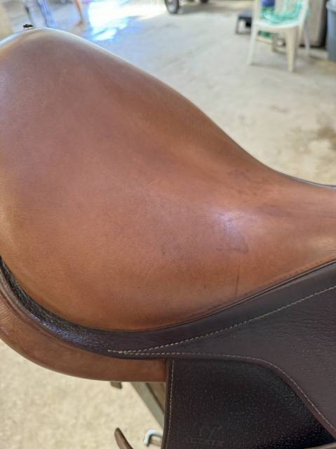 Sella mista Altair  17.5" - 2017