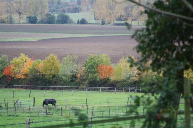 Proprietà equestre In vendita Calvados