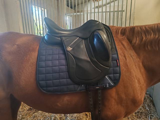 Sella da dressage Bates  17.5" - 2022
