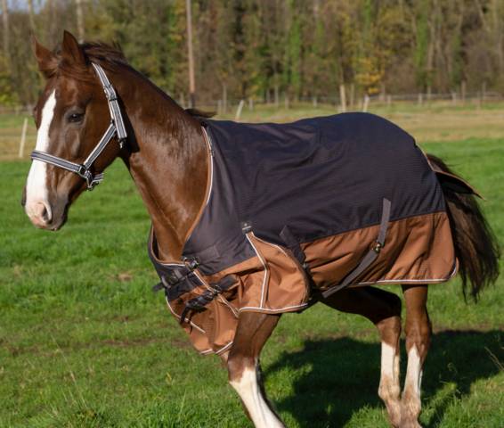  Equithème Occasione