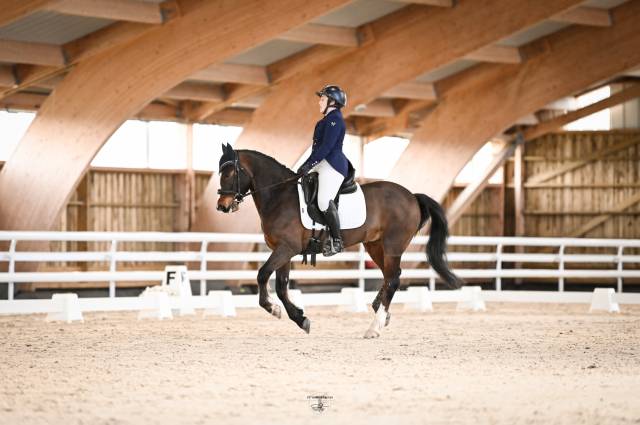 Sella da dressage Antar&egrave;s  17.5" - 2018