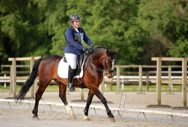 Sella da dressage Antar&egrave;s  17.5" - 2018