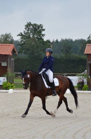 Sella da dressage Antar&egrave;s  17.5" - 2018