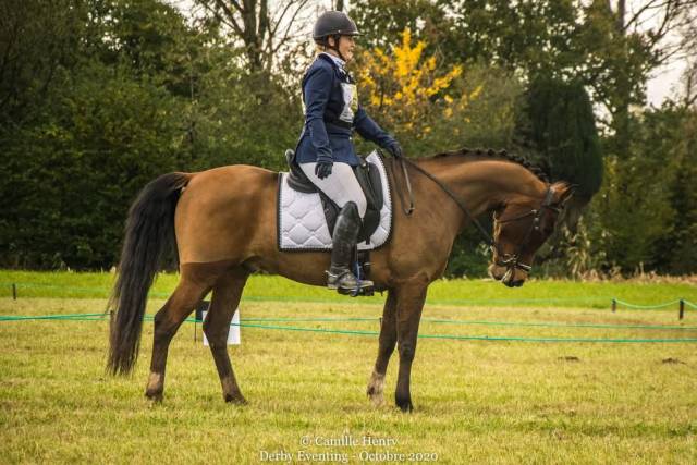 Sella da dressage Antar&egrave;s  17.5" - 2018