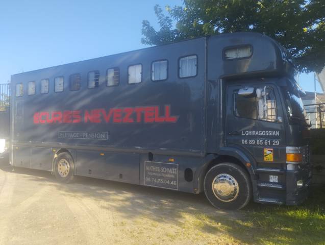 Camion per Cavalli Mercedes  2000 Occasione