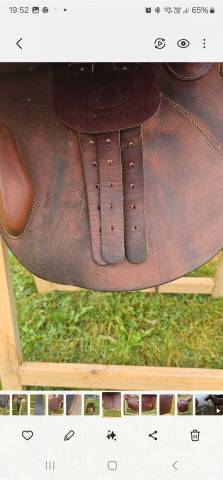 Sella mista Forestier Je ne sais pas  18" - 2017