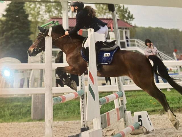 Super pony da salto