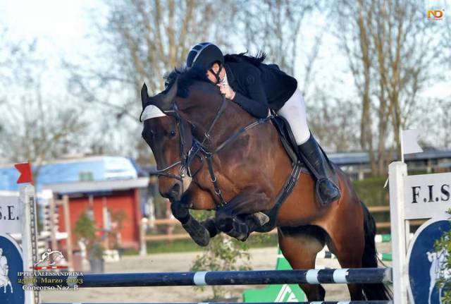 CAVALLA ITALIANA  SALTO