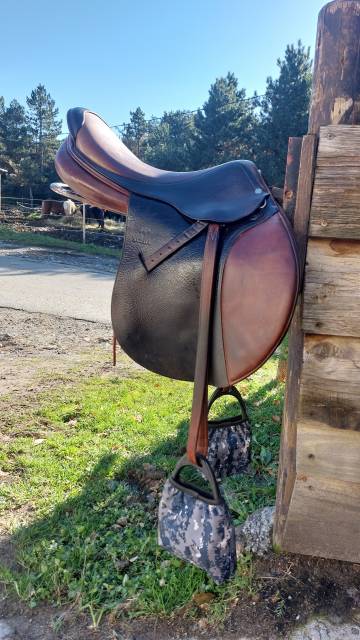 Sella mista Altair  17.5" - 2017