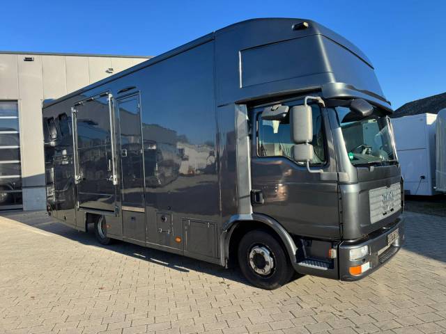 Camion per Cavalli Man MAN 0 Occasione