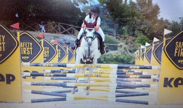Vendo per passaggio a cavallo Connemara 8 anni