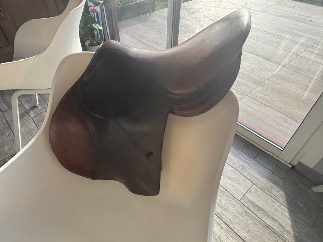 Sella da salto ostacoli Antarès  16" - 2011