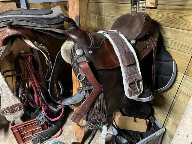 Sella western  Big horn 15" - 2018