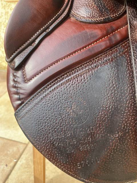 Sella da salto ostacoli CWD  17" - 2021