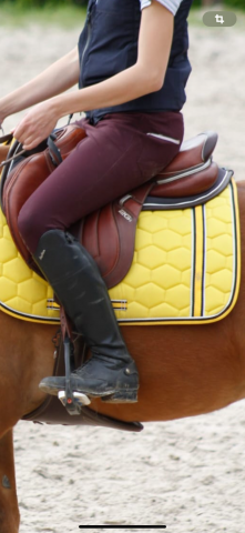 Sella da salto ostacoli CWD  17" - 2021