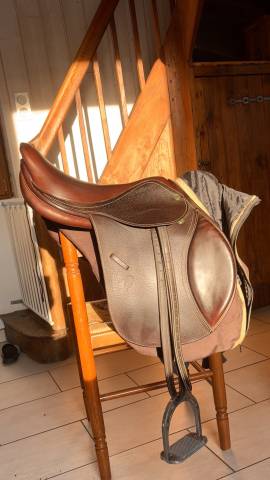 Sella mista Privilège Equitation Fontainebleau  17" - 2018