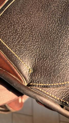 Sella mista Privilège Equitation Fontainebleau  17" - 2018