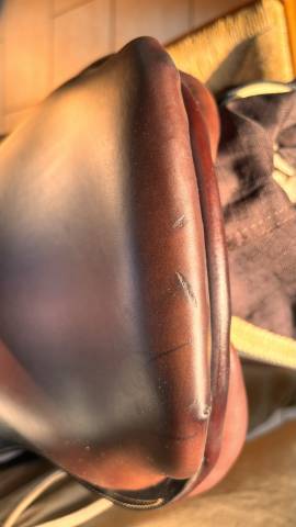 Sella mista Privilège Equitation Fontainebleau  17" - 2018