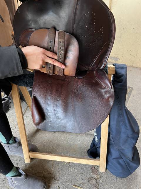 Sella da salto ostacoli  Bruno Delgrange  17.5" - 2020