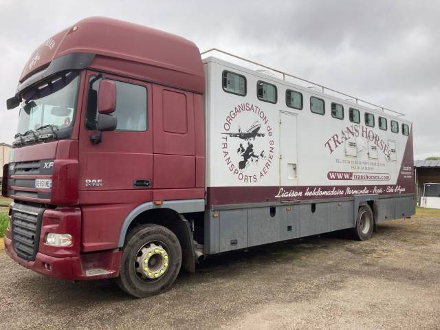 Camion per Cavalli Daf CAMION THEAULT 2008 Occasione