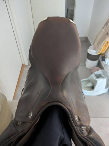 Sella da salto ostacoli Prestige Italia Michel Robert 17" - 2015