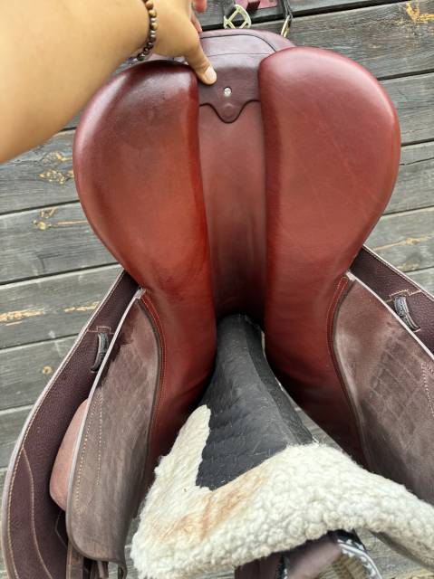 Sella da salto ostacoli CWD  17.5" - 2024