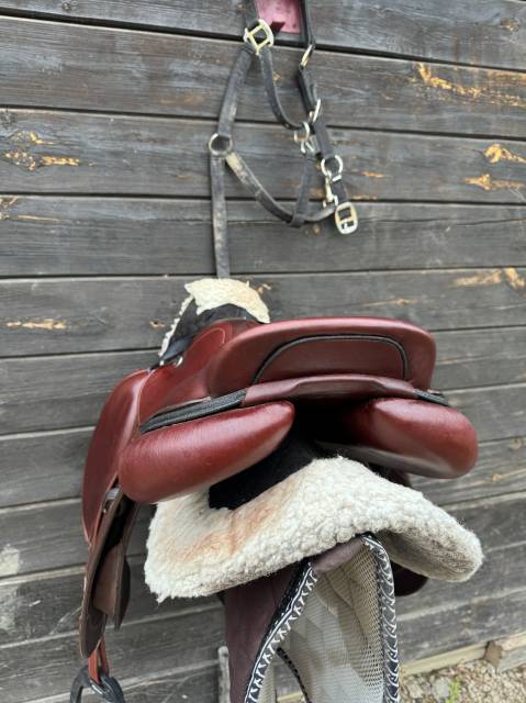 Sella da salto ostacoli CWD  17.5" - 2024