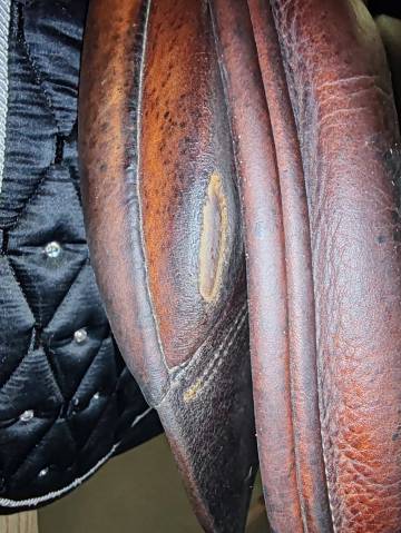 Sella mista Forestier  17" - 2017