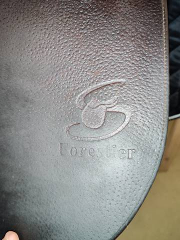 Sella mista Forestier  17" - 2017