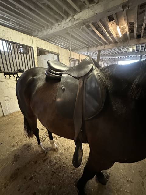 Sella da salto ostacoli Devoucoux  18" - 2018