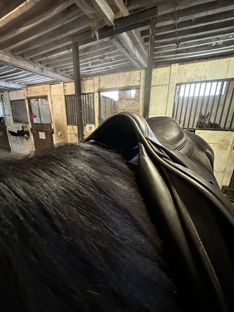 Sella da salto ostacoli Devoucoux  18" - 2018