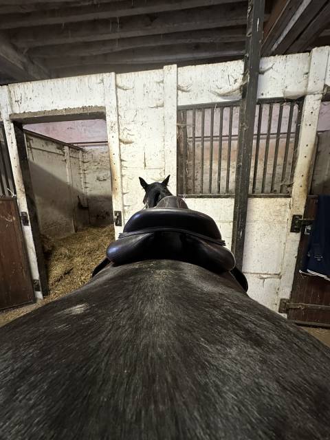 Sella da salto ostacoli Devoucoux  18" - 2018