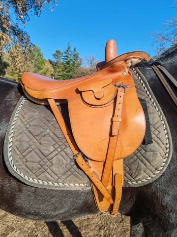 Sella amazzone   16.5" - 2010