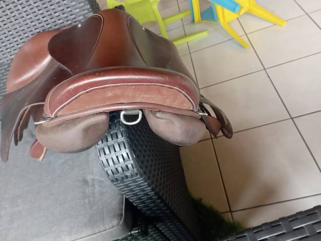 Sella mista Forestier Club 17" - 2019