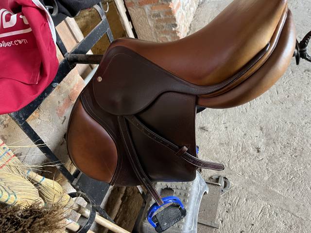 Sella da salto ostacoli CWD SE08 18" - 2016