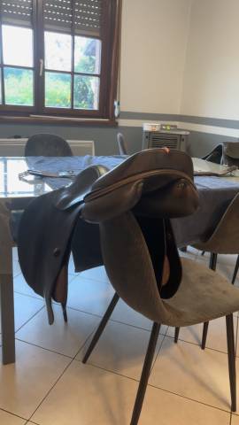 Sella da salto ostacoli Equipe  17" - 2015