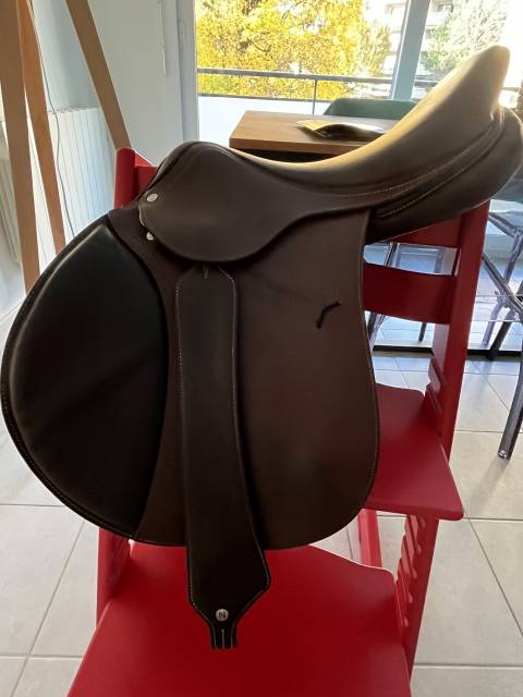 Sella da salto ostacoli Antarès  17.5" - 2022