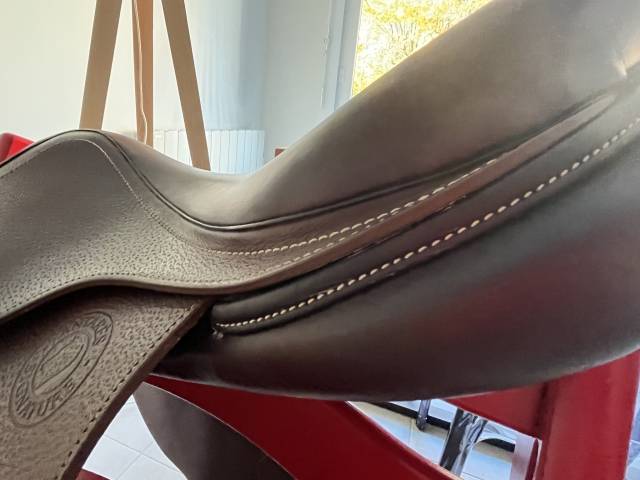 Sella da salto ostacoli Antarès  17.5" - 2022