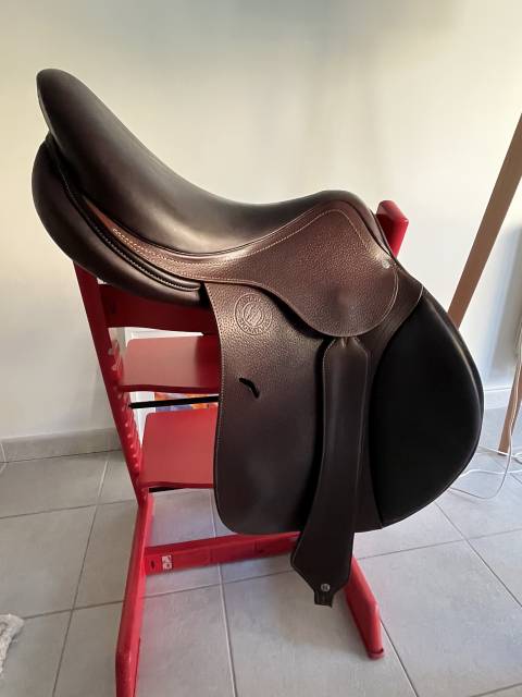 Sella da salto ostacoli Antarès  17.5" - 2022