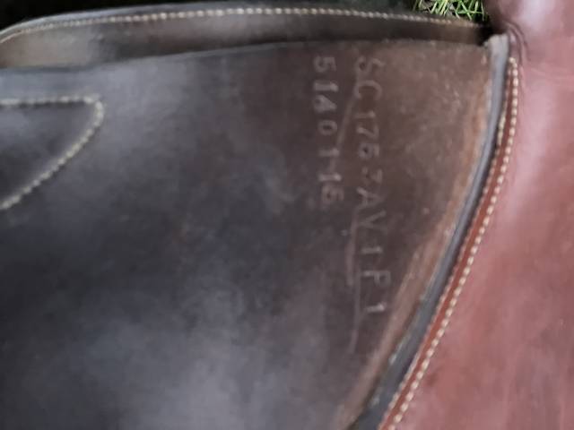 Sella da salto ostacoli GBS  17.5" - 2019