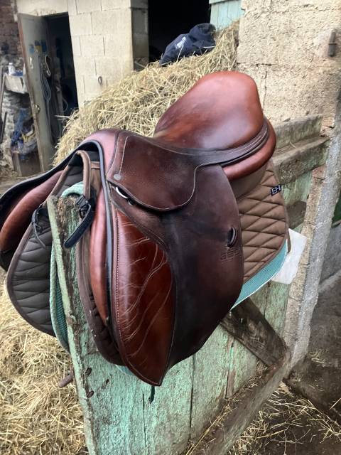 Sella da salto ostacoli GBS  17.5" - 2019