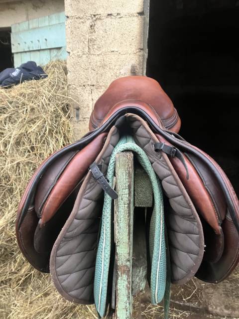 Sella da salto ostacoli GBS  17.5" - 2019