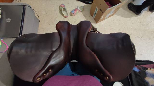 Sella da salto ostacoli Antar&egrave;s  18" - 2017