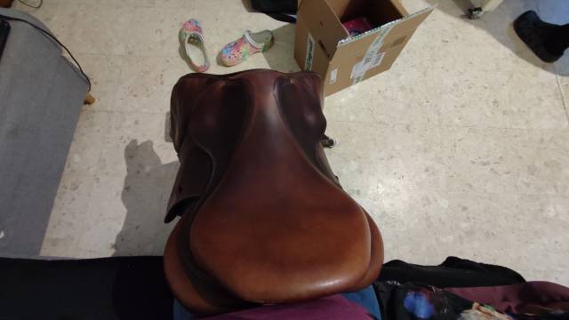 Sella da salto ostacoli Antar&egrave;s  18" - 2017