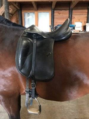 Sella da dressage Prestige Italia  17.5" - 2011