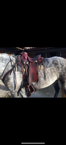 Altra sella   17" - 2016