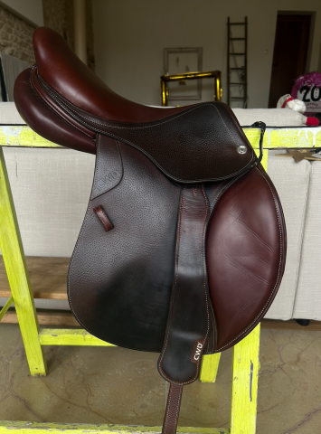 Sella da salto ostacoli CWD  16.5" - 2019